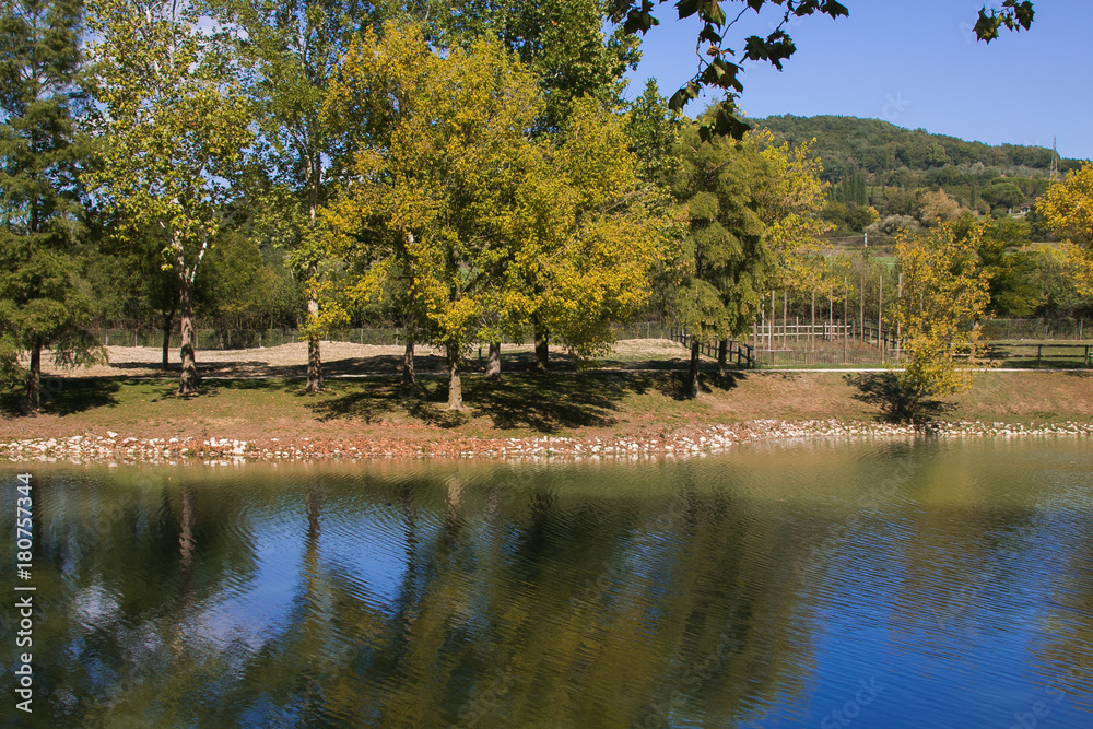 Obraz premium Riflessi degli alberi sul fiume Tevere