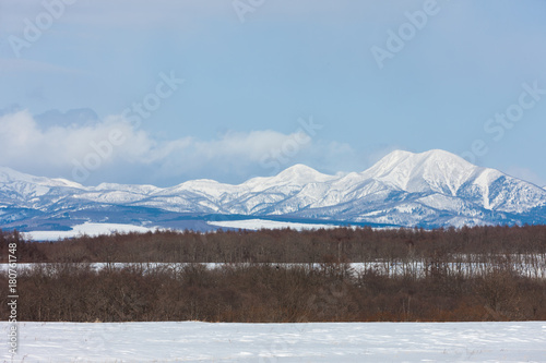 Winter in Japan photo