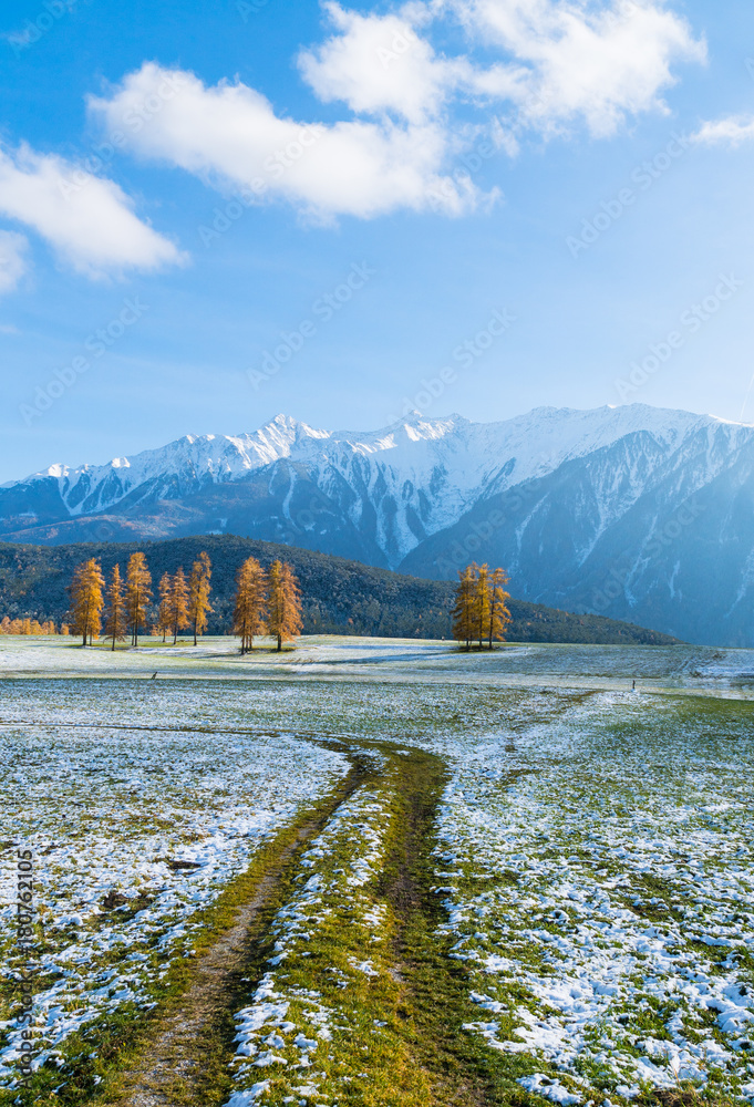 goldene Lärchen , weg und schneebedeckte Wiesen