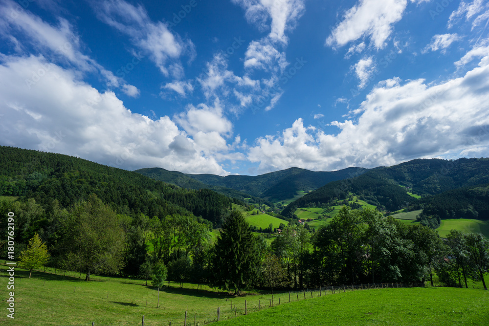 Wide beautiful untouched landscape of black forest nature near Freiburg in Germany