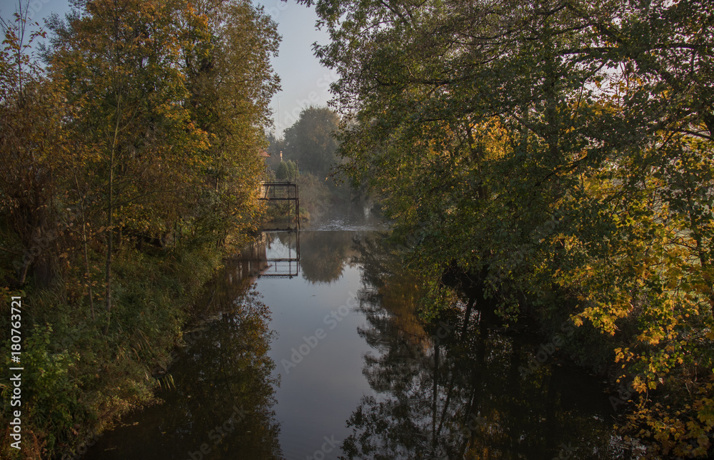 Tree reflections in the river