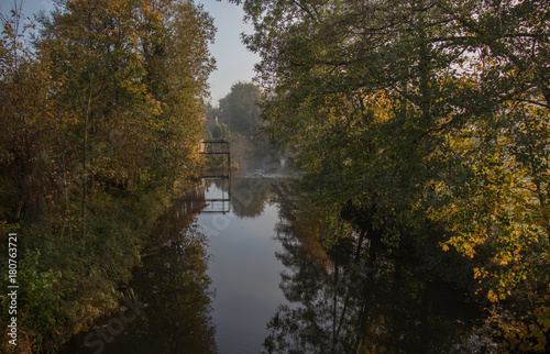 Fototapeta Naklejka Na Ścianę i Meble -  Tree reflections in the river