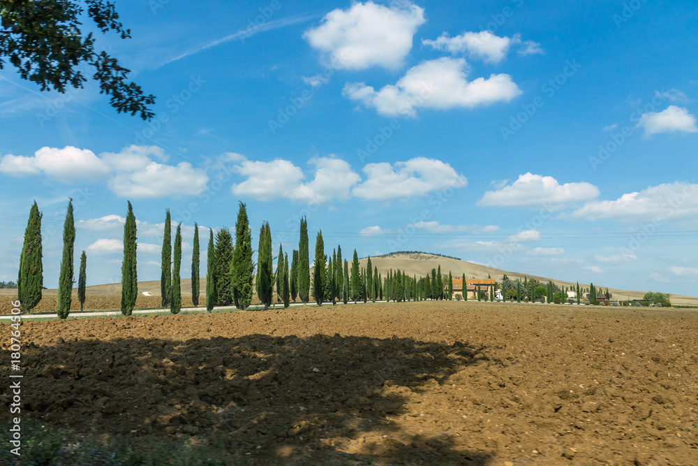 Obraz premium Tuscany landscape with cypress road and blue sky with clouds