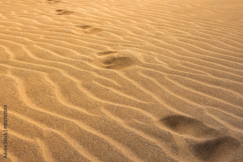 footprints in the sand along the diagon footprints in the sand along the diagon