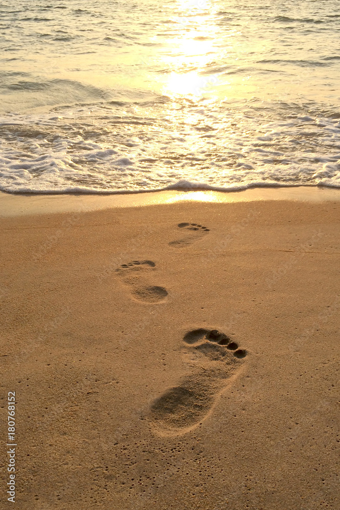 footprints on the sand on the to the sea footprints on the sand on the to the sea