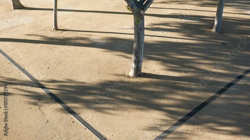 The line the tree and the shadows