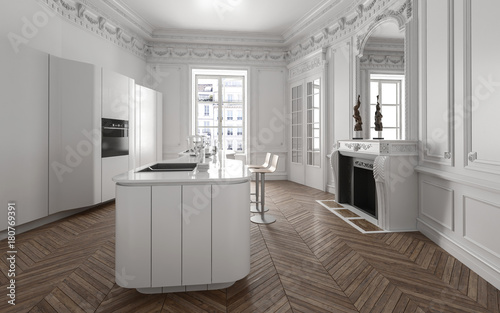 Open plan modern luxury kitchen interior