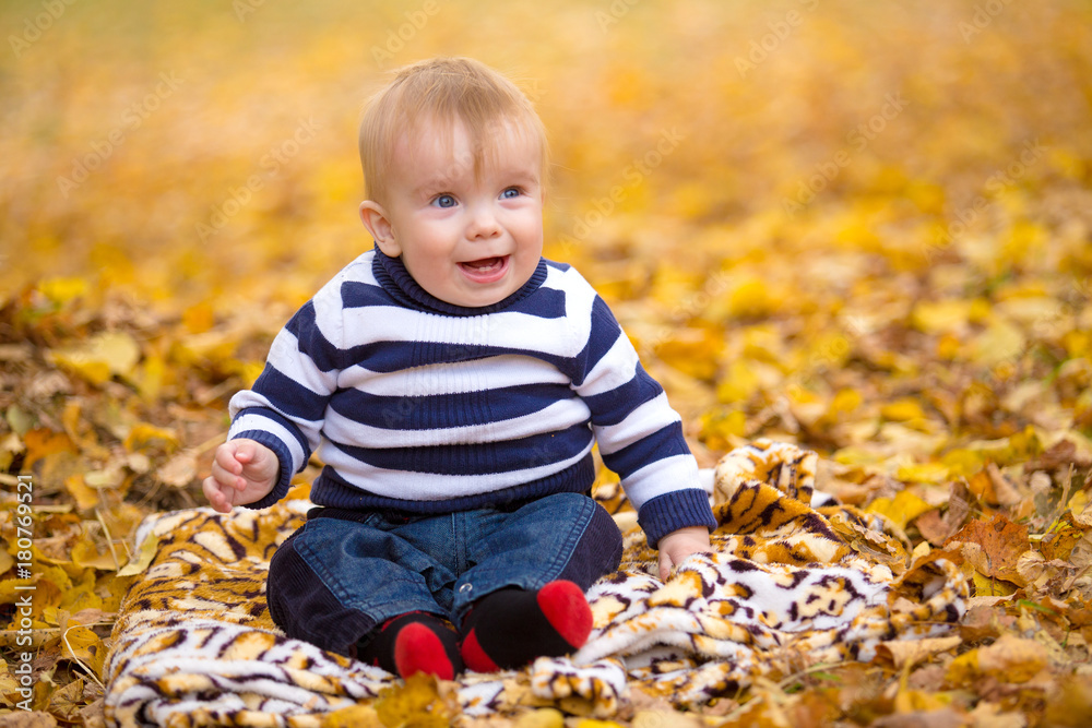 Little boy playing in yellow foliage. Autumn in the city park Little boy playing in yellow foliage. Autumn in the city park
