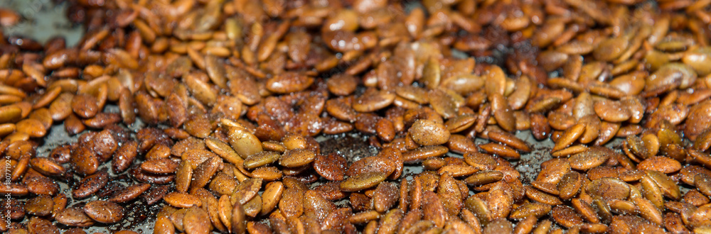 Toasted pumpkin seed banner with a shallow depth of field Toasted pumpkin seed banner with a shallow depth of field