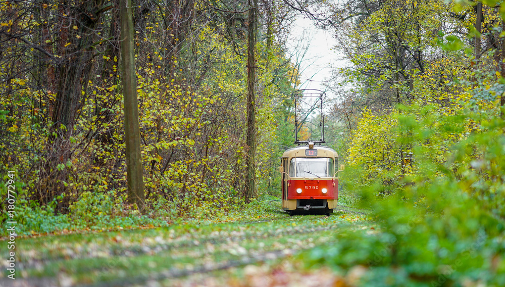 a tram ride in the autumn forest a tram ride in the autumn forest