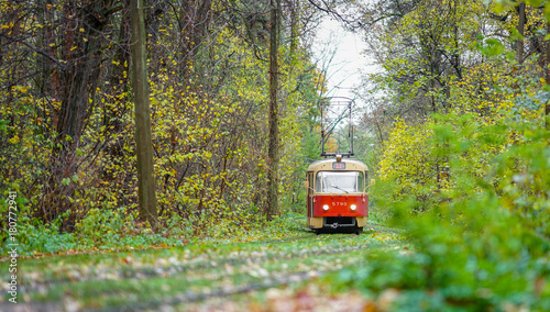a tram ride in the autumn forest