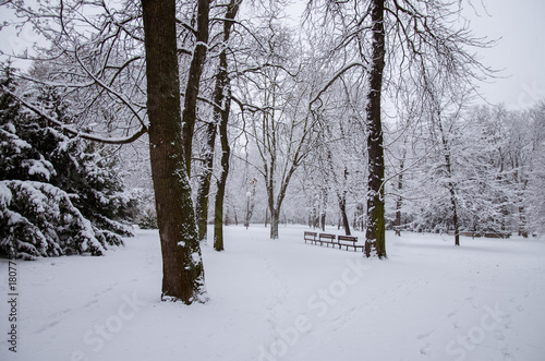 winter park © katarinagondova