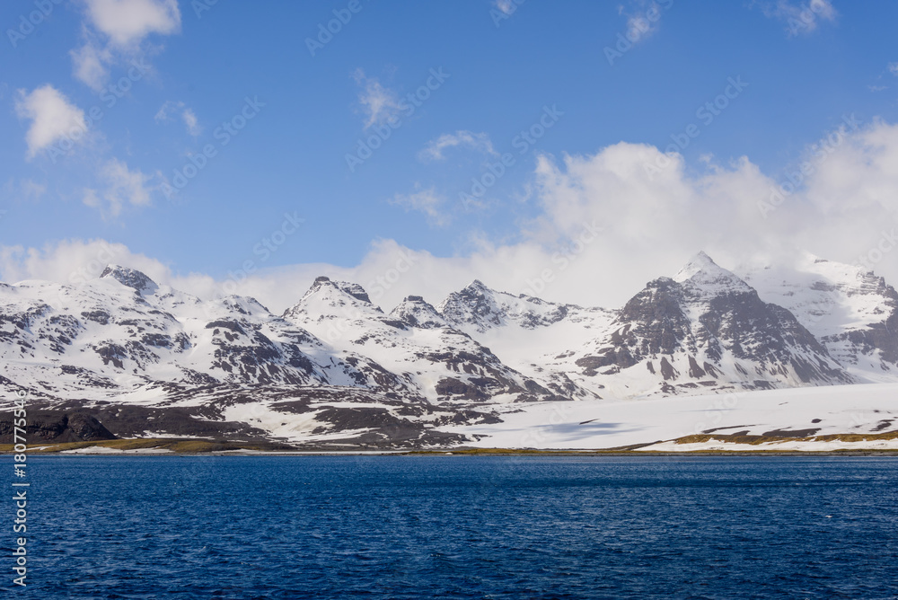 South Georgia landscape South Georgia landscape