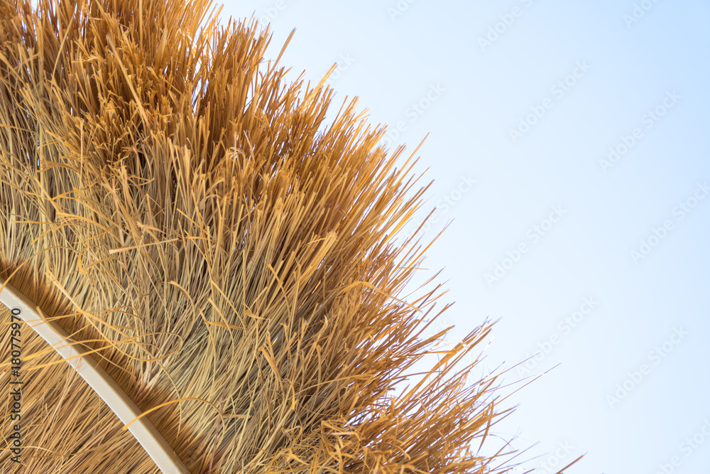 Thatch roof background, hay or dry grass background.