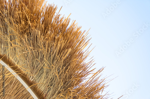 Obraz na płótnie Thatch roof background, hay or dry grass background. w salonie