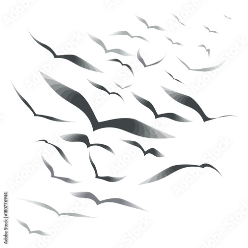 Flock of birds on a white background