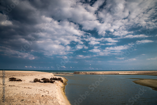 Seashore at Hammamet. Tunisia, North Africa. photo