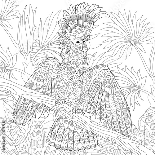 Coloring page of australian cockatoo parrot in tropical jungle forest. Freehand sketch drawing for adult antistress colouring book with doodle and zentangle elements.