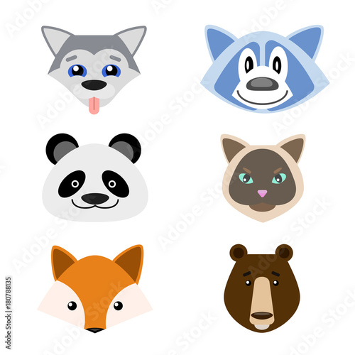 Animals