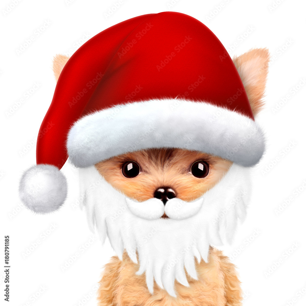 Funny Dog Santa with beard. Christmas concept Funny Dog Santa with beard. Christmas concept