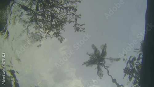 Palms and sky, view from the swimming pool bottom, GoPro