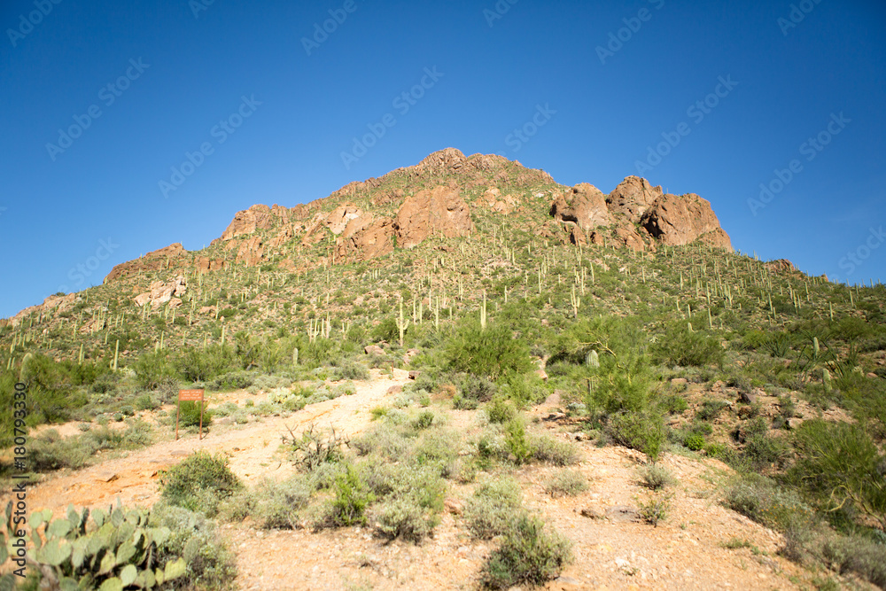 Arizona Desert Hills
