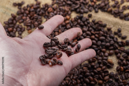 Coffee beans in heand with blured background photo