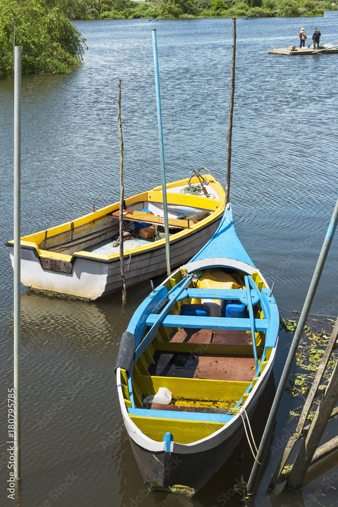 Avieiros boats