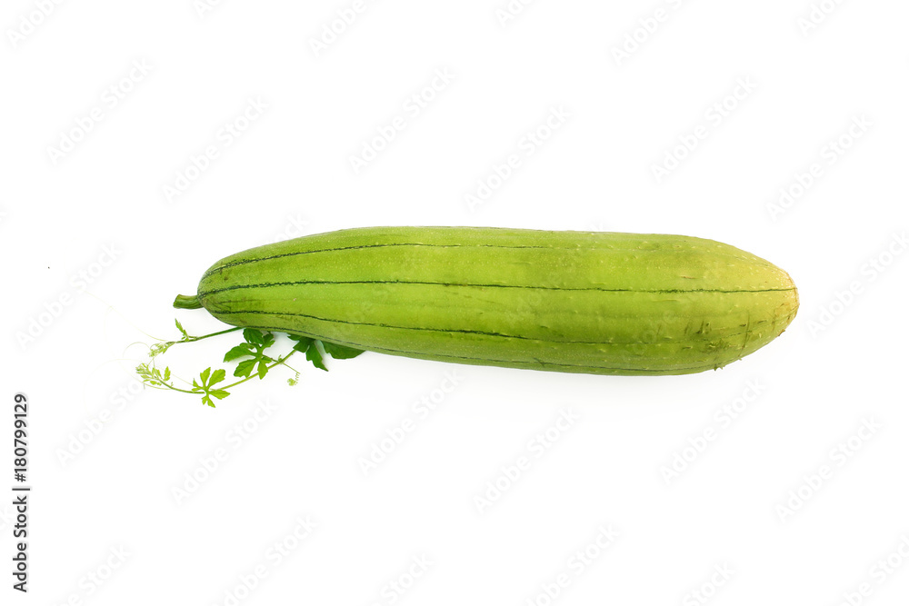 Fresh ridge gourd Luffa isolated on white background Fresh ridge gourd Luffa isolated on white background