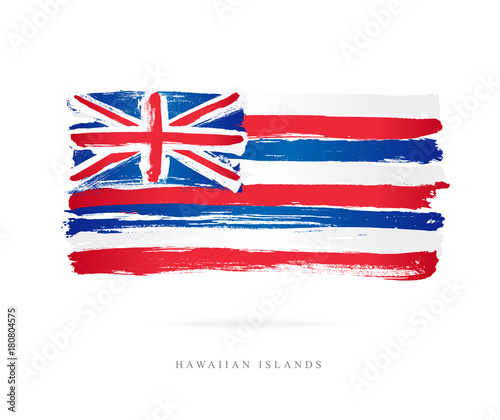 Flag of Hawaii. Abstract concept