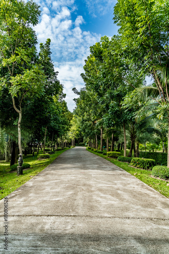 Road in the park