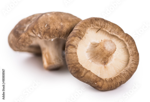 Shiitake mushrooms isolated on white