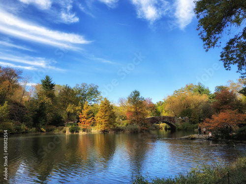 Autumn in the park