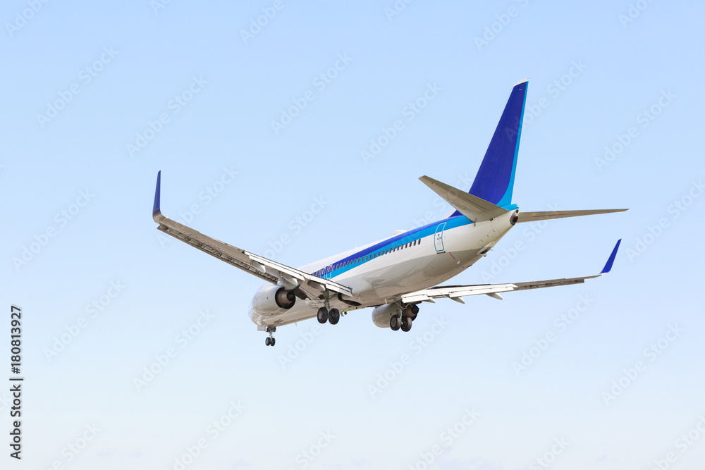 Fototapeta premium 飛行機の着陸 -大阪国際空港-