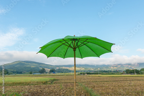 Green umbrella with field