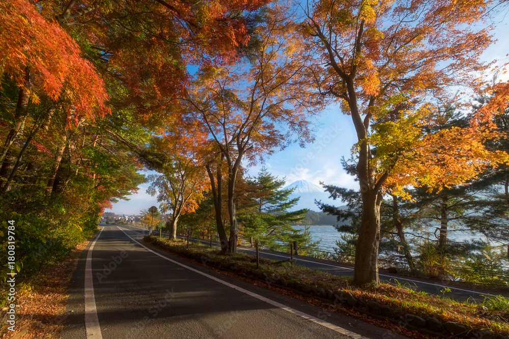 Mt. Fuji in the Momiji tunnel. Fuji mountain at Kawaguchiko lake in afternoon sunshine rise with autumn colorful maple leaf.