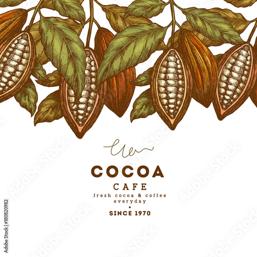 Cocoa bean tree vintage design template. Engraved style illustration. Chocolate cocoa beans. Vector illustration