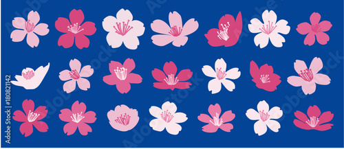                               21               Set of 21 Cherry blossom flowers vector illustrations on blue background - Japanese Sakura flower