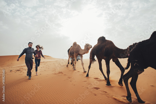 Caravan going through the sand dunes in the Sahara Desert, Morocco