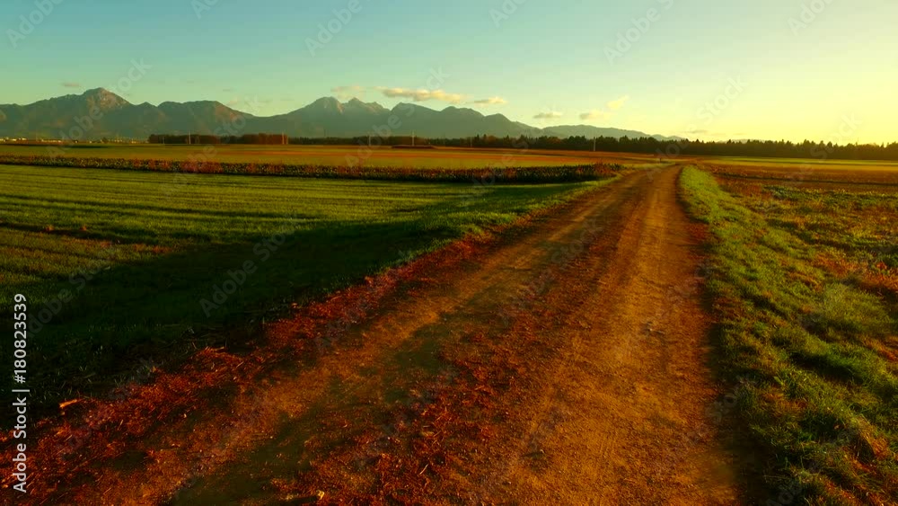 Intensive sun rays in early morning autumn field. Intensive sun rays in early morning autumn field.