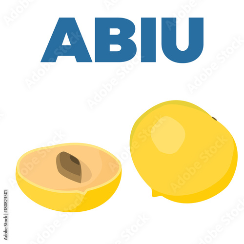 Pouteria caimito or the abiu golden fruit isolated on background. Yellow vector tropical fruit. photo