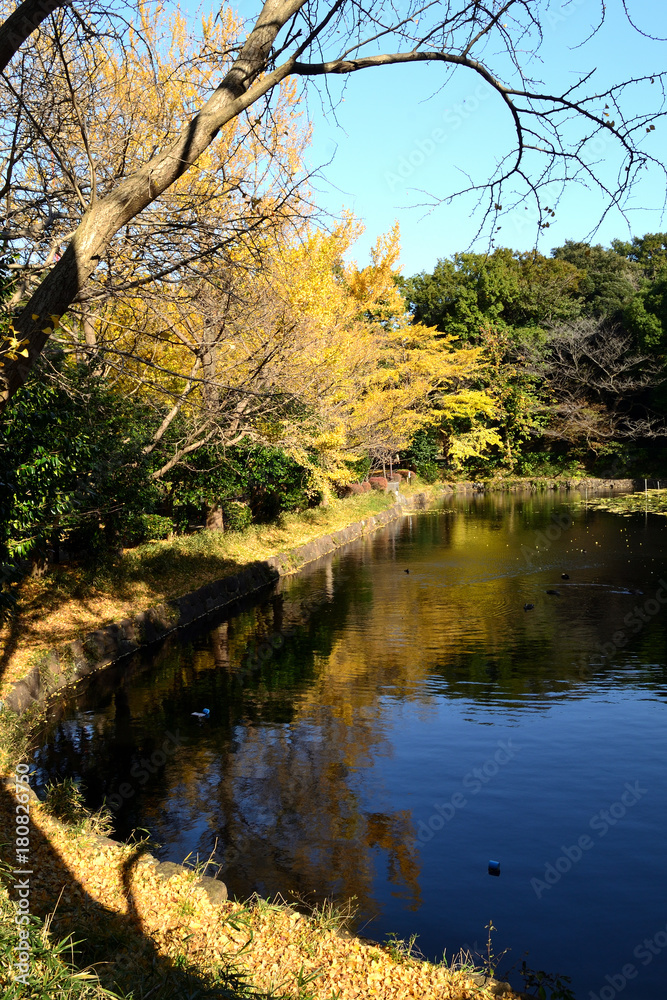 秋景色/桜の名所で有名な公園。秋には美しい紅葉が見られる。