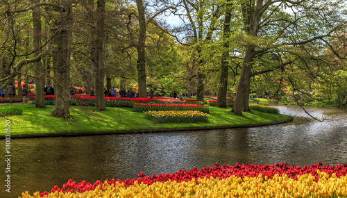 Canvas Print Blooming flowers in Keukenhof park