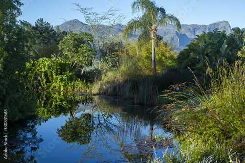 Franschhoek Western Cape Winelands photo