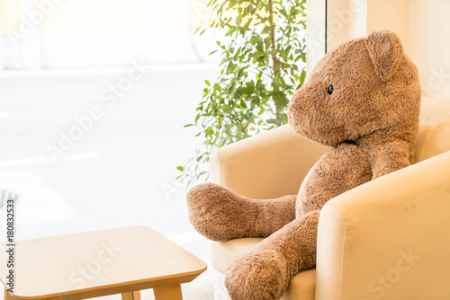 bear doll sit on sofa