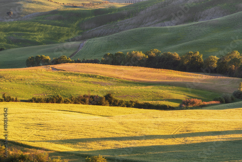 Magnificent spring rural landscape. Beautiful view of typical tuscan green wave hills, cypresses trees, magical sunlight, beautiful golden fields and meadows.Tuscany, Italy, Europe