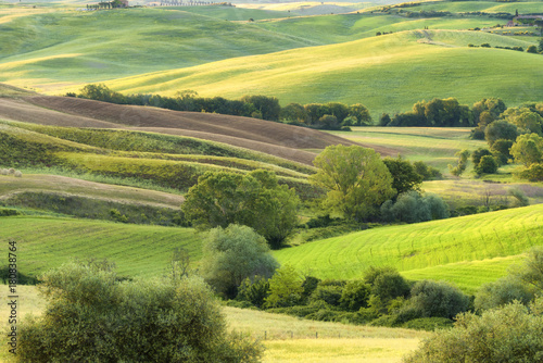 Magnificent spring rural landscape. Beautiful view of typical tuscan green wave hills, cypresses trees, magical sunlight, beautiful golden fields and meadows.Tuscany, Italy, Europe