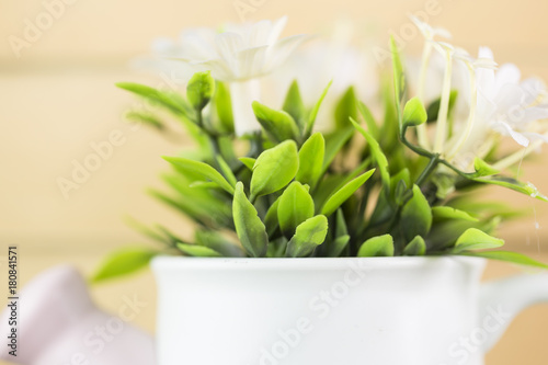 close up of white flower petal, shades of white, teal, soft dreamy image 