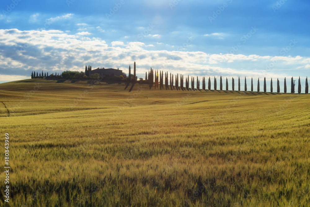 Magnificent spring landscape.Beautiful view of typical tuscan farm house, green wave hills, cypresses trees, hay bales, olive trees, beautiful golden fields and meadows.Tuscany, Italy, Europe