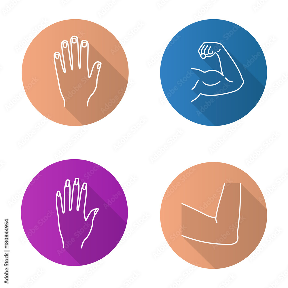 Fototapeta premium Body parts flat linear long shadow icons set